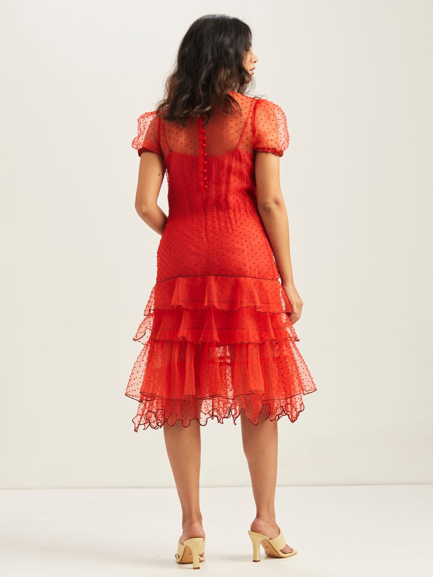 Adara Sheer Ruffled Dress